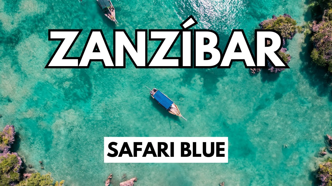 La MEJOR ACTIVIDAD para hacer en ZANZÍBAR | ZANZIBAR #2 | HONEYMOON #17 | SeguirViajando