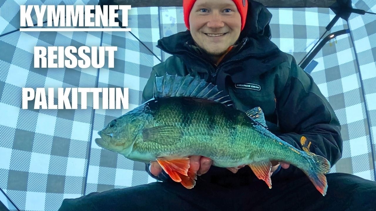 AHVEN MALLIA PAISTINPANNU | ISON AHVENEN KYTTÄYSTÄ