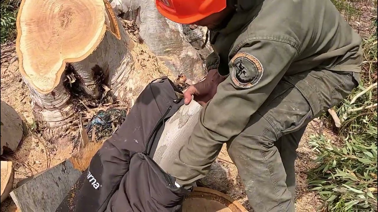 Can Husqvarna Chainsaw Pants Really Save Your Leg?