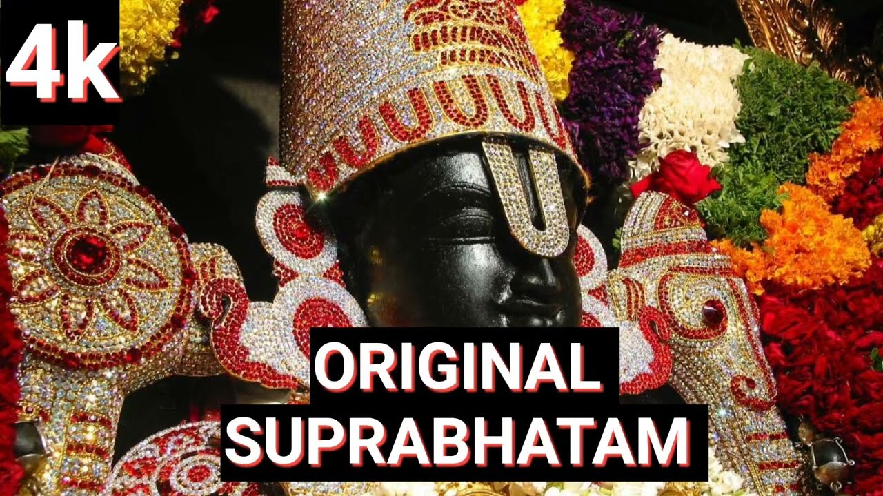 Suprabhatam #ttd #srivenkateswara #trending #tirupati #tirumala #balaji 