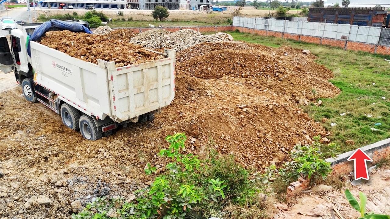 Process New Activity Using Dump Trucks Dumping Soil and Push fill by Powerful DH 17 c3  PRO Dozer