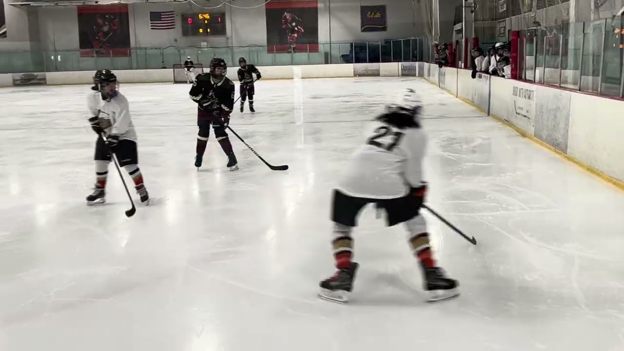 5-1 loss vs Anaheim Lady Ducks
