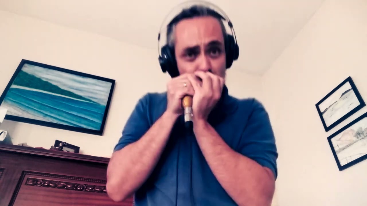 The Chicken - Diatonic Harmonica Jazz