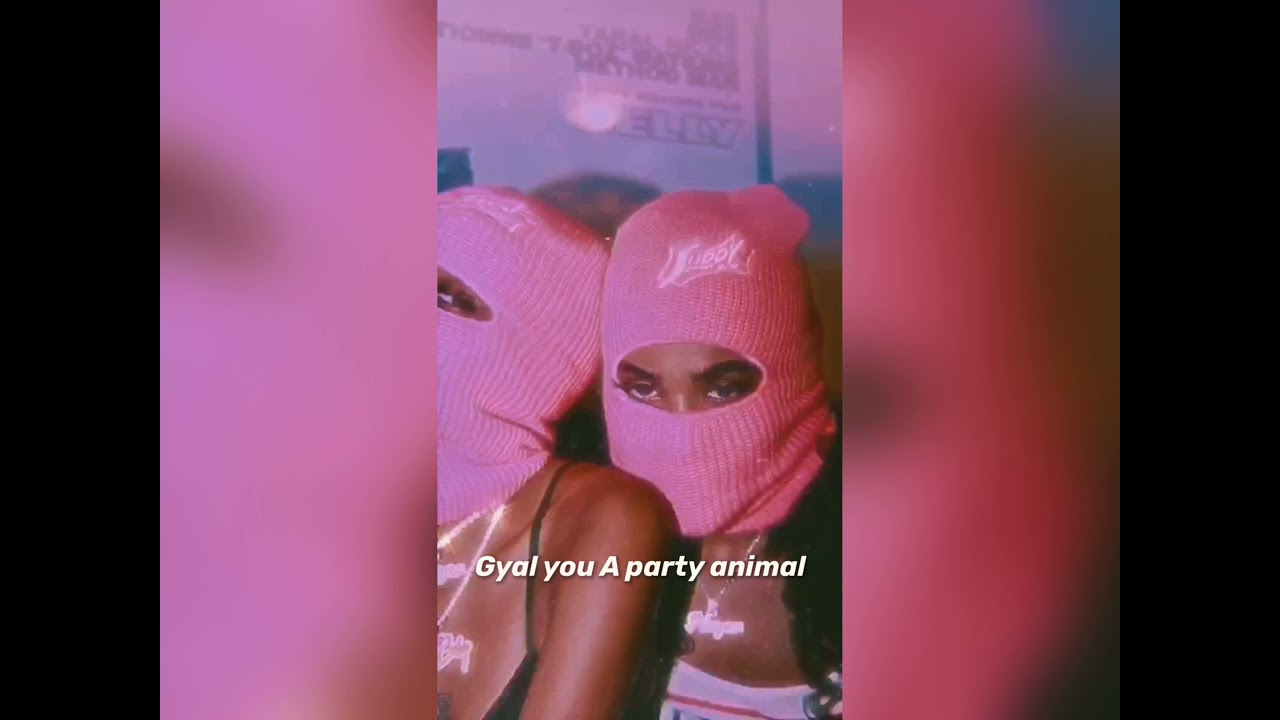Charly black ( feat dandy yankee ) gyal you a party animal ( slowed + reverb )