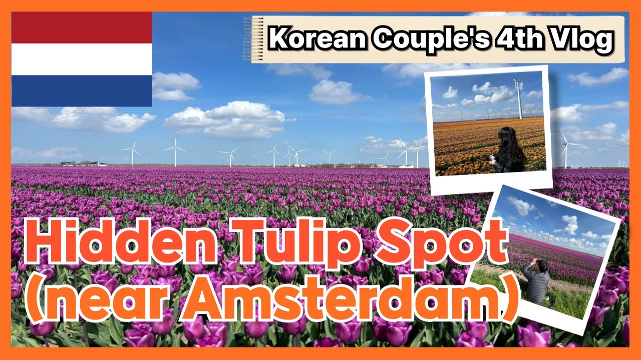 Almere’s Secret Tulip Fields 