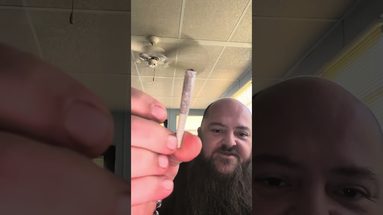 valley hemp pre roll cones