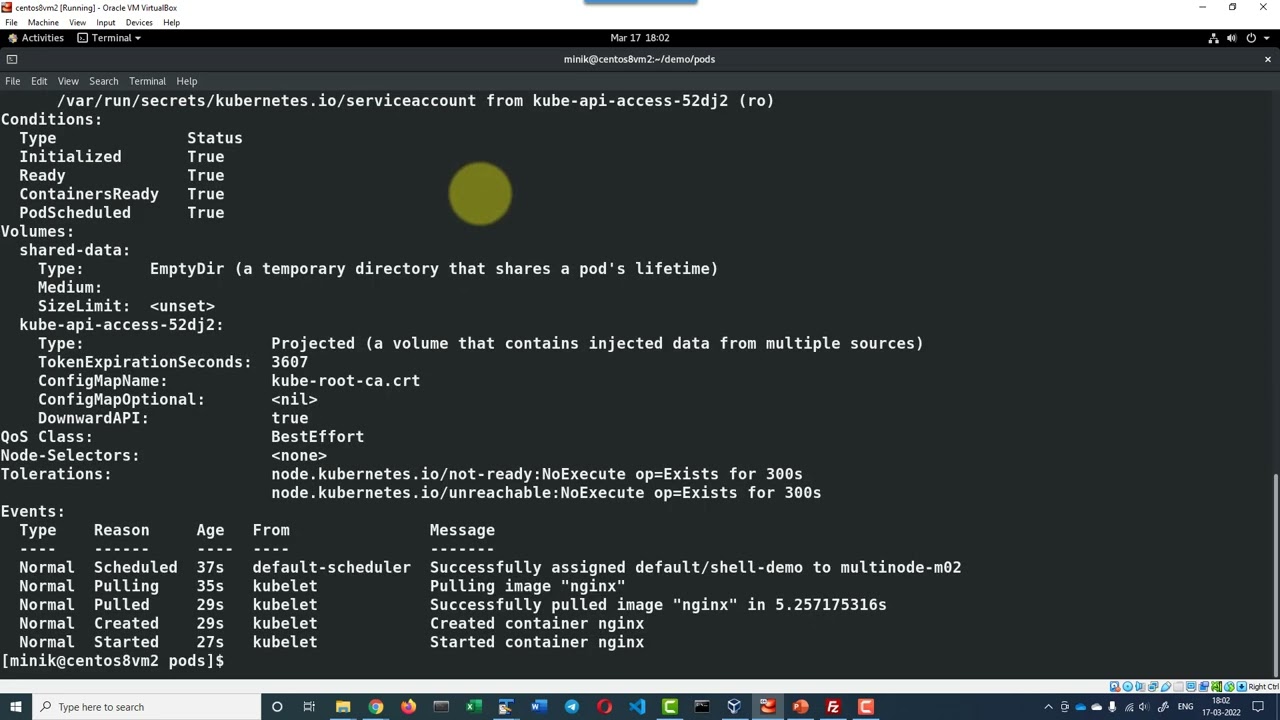 kubernetes run a shell within a container in a pod