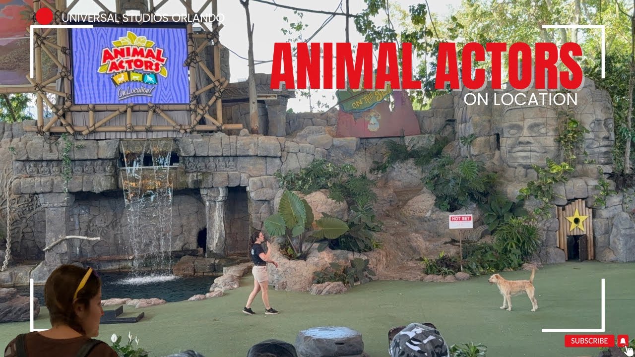 Animal Actors on Location! Full Show at Universal Studios Orlando #universalorlando #animals