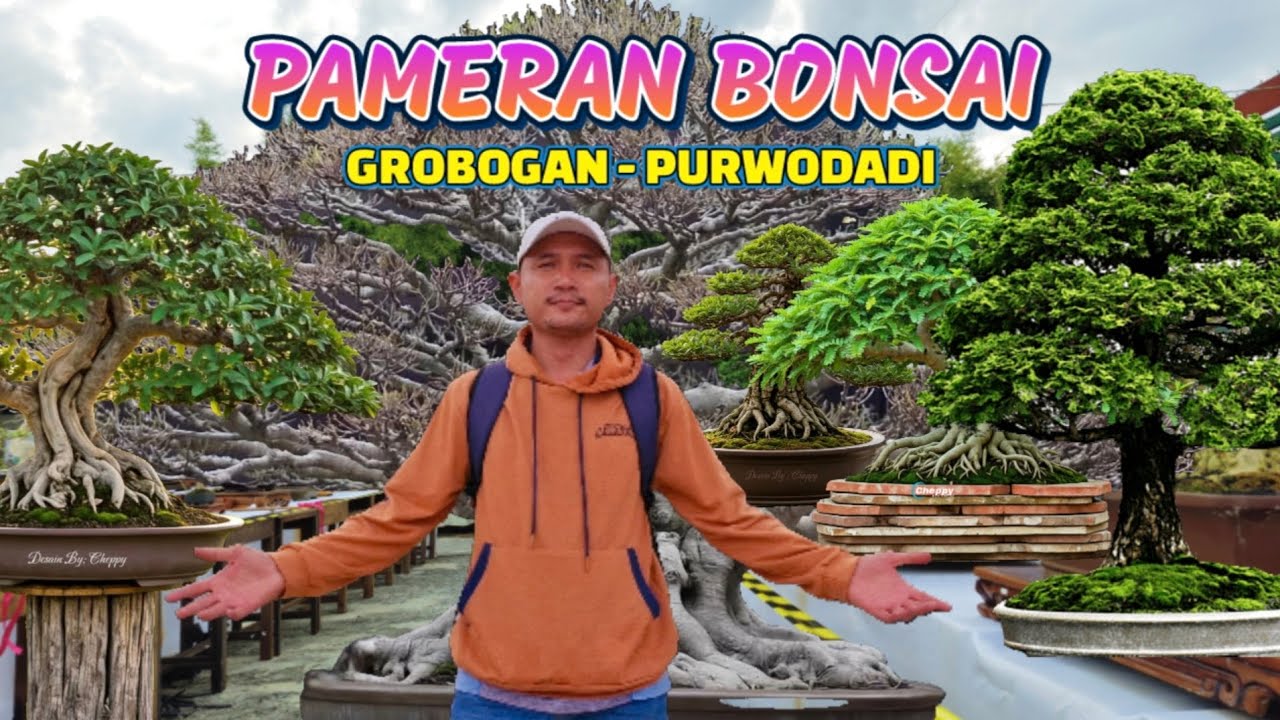 Bonsai Rp1 Miliar? Ternyata Ada di Pameran Ini , Pameran Bonsai Grobogan Purwodadi 20 April 2025 !!!