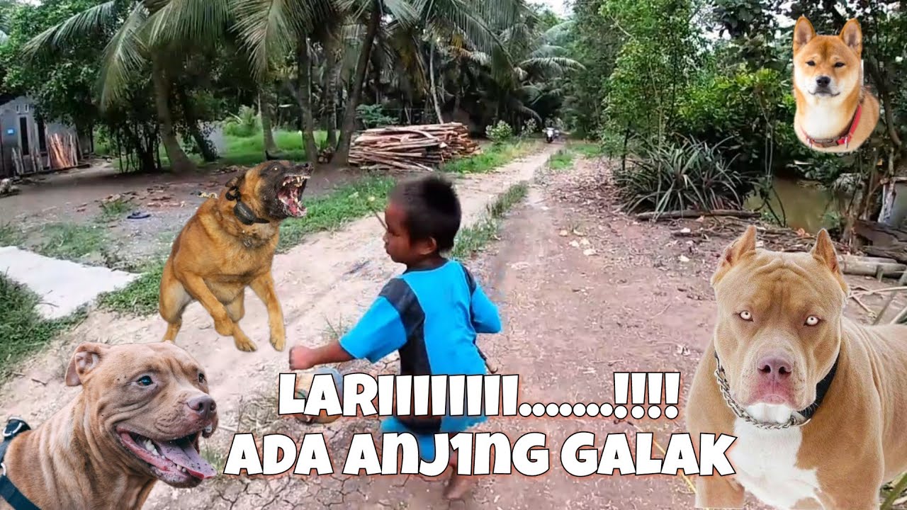 Dikejar Guk Guk Saat Mau Mancing