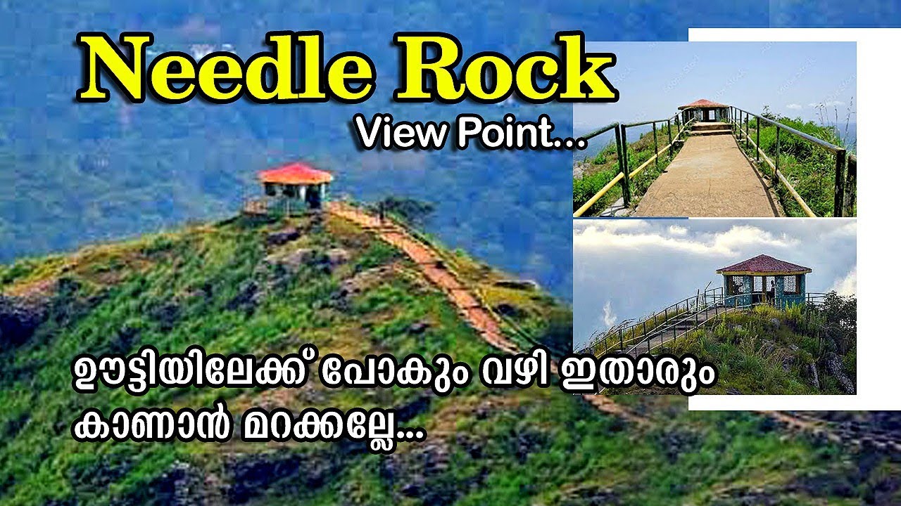 Needle rock view point | adventures trucking | Near in ooty | pine forest | ooty trip plan