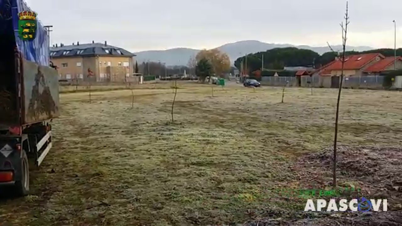 Apascovi Jardinería, Acolchado Plantación de Castaños en Alpedrete,16/12/15.