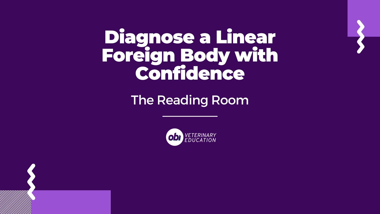 How to diagnose a linear foreign body with confidence - The Reading Room - Veterinary Radiology