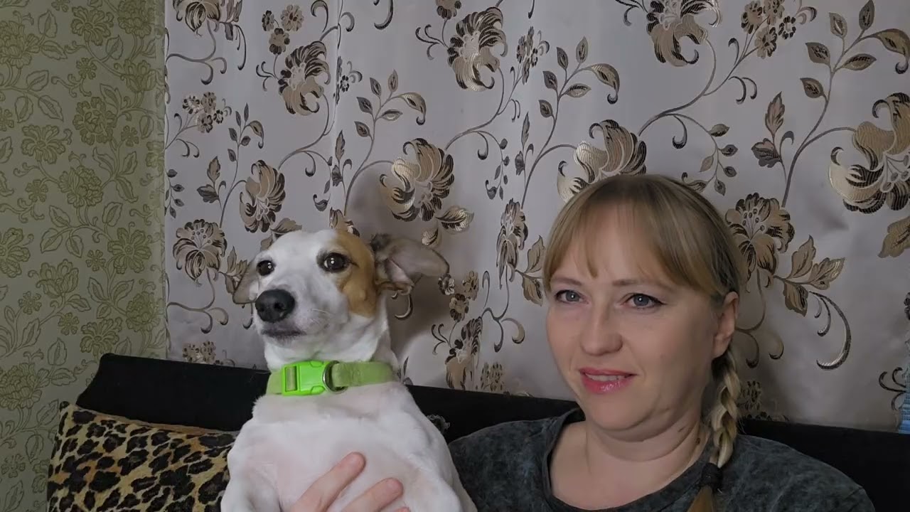 Миллионы просмотров) Ответы на вопросы 