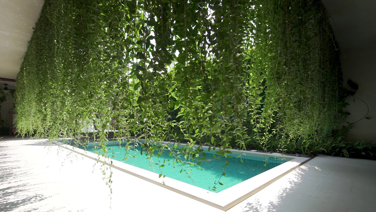 Tropical plants cover villas at Wyndham Garden Phú Quốc resort in Vietnam