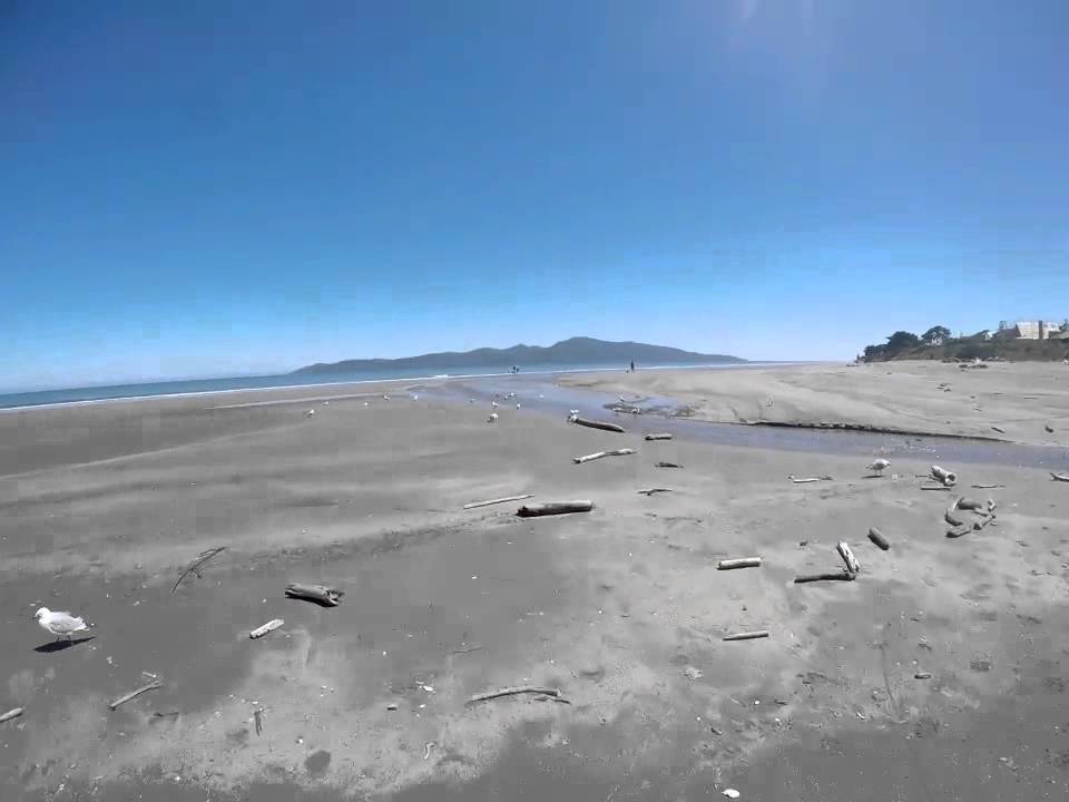 A day at Raumati beach