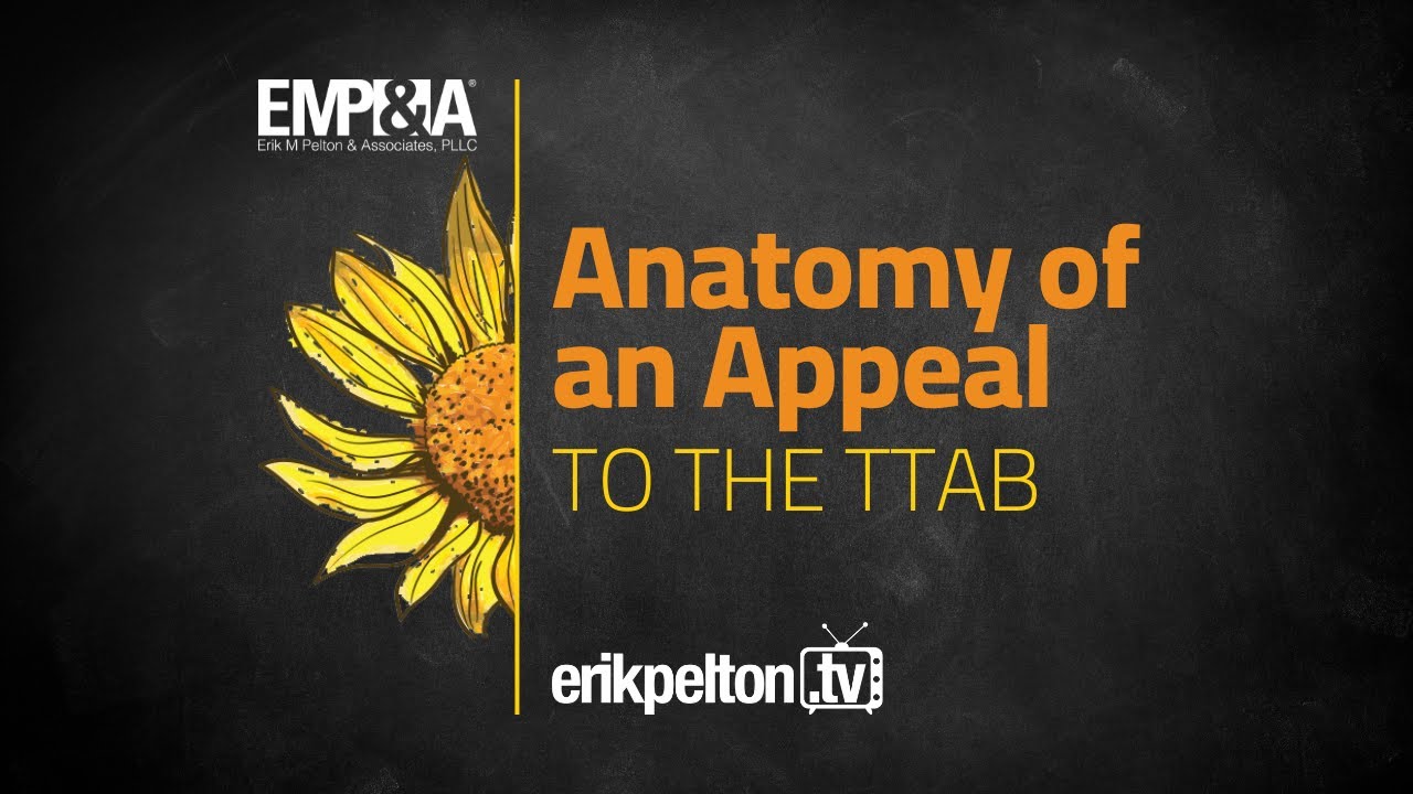 Anatomy of An Appeal to the TTAB