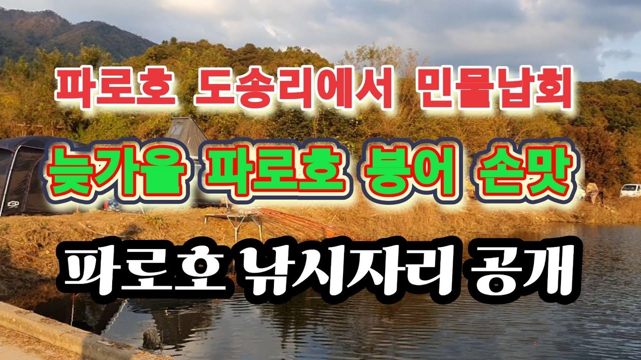 파로호에서 민물낚시 납회하다 #파로호낚시 #화천군낚시 #강원도낚시 #겨울낚시터