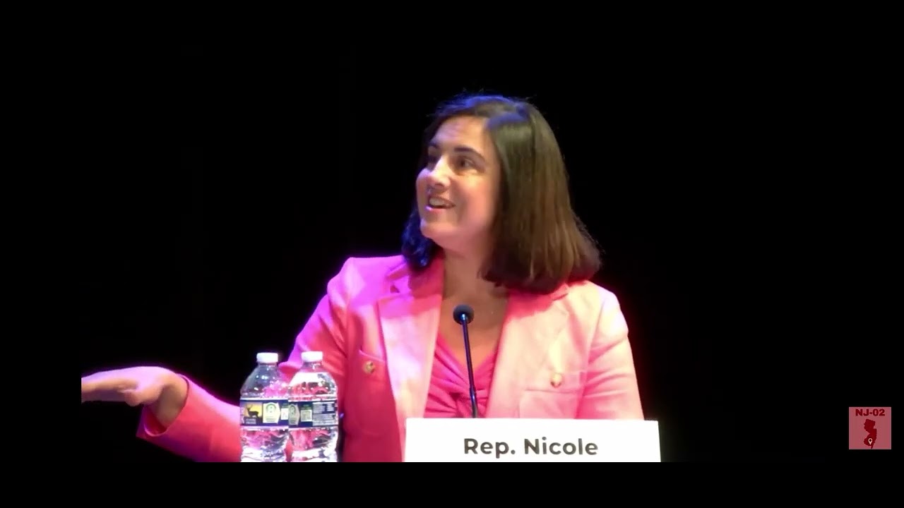 Rep. Malliotakis discusses high energy costs at public hearing.