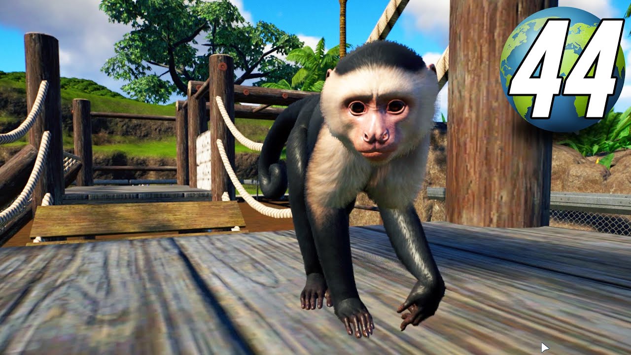 Planet Zoo Franchise - Part 44 - CAPUCHIN MONKEYS 😍