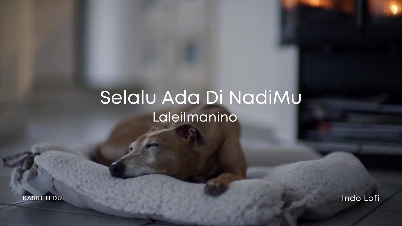 Selalu Ada Di Nadimu (OST Jumbo) - Laleilmanino | Lofi Chill