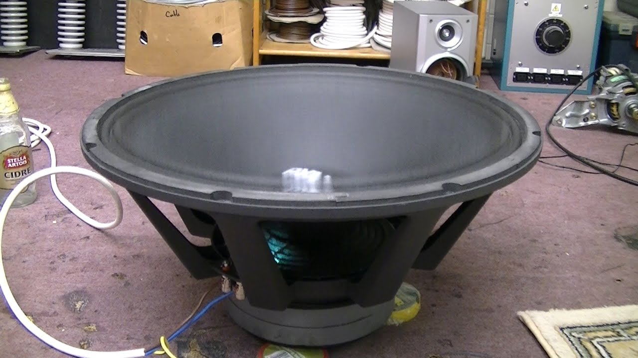 Extreme Speaker Test 21