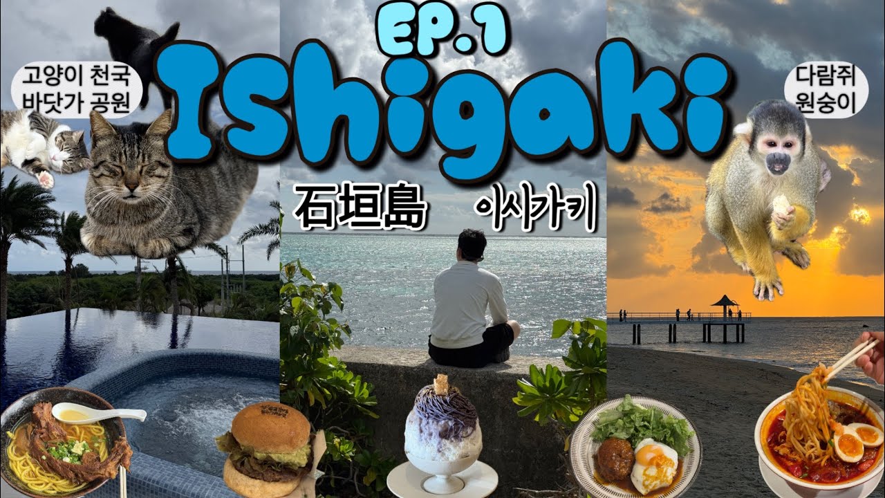 2시간 30분이면 가는 천국섬 맛집, 관광, 숙소 모든게 완벽했던 비수기 겨울 이시가키 [📍구글지도 공유]