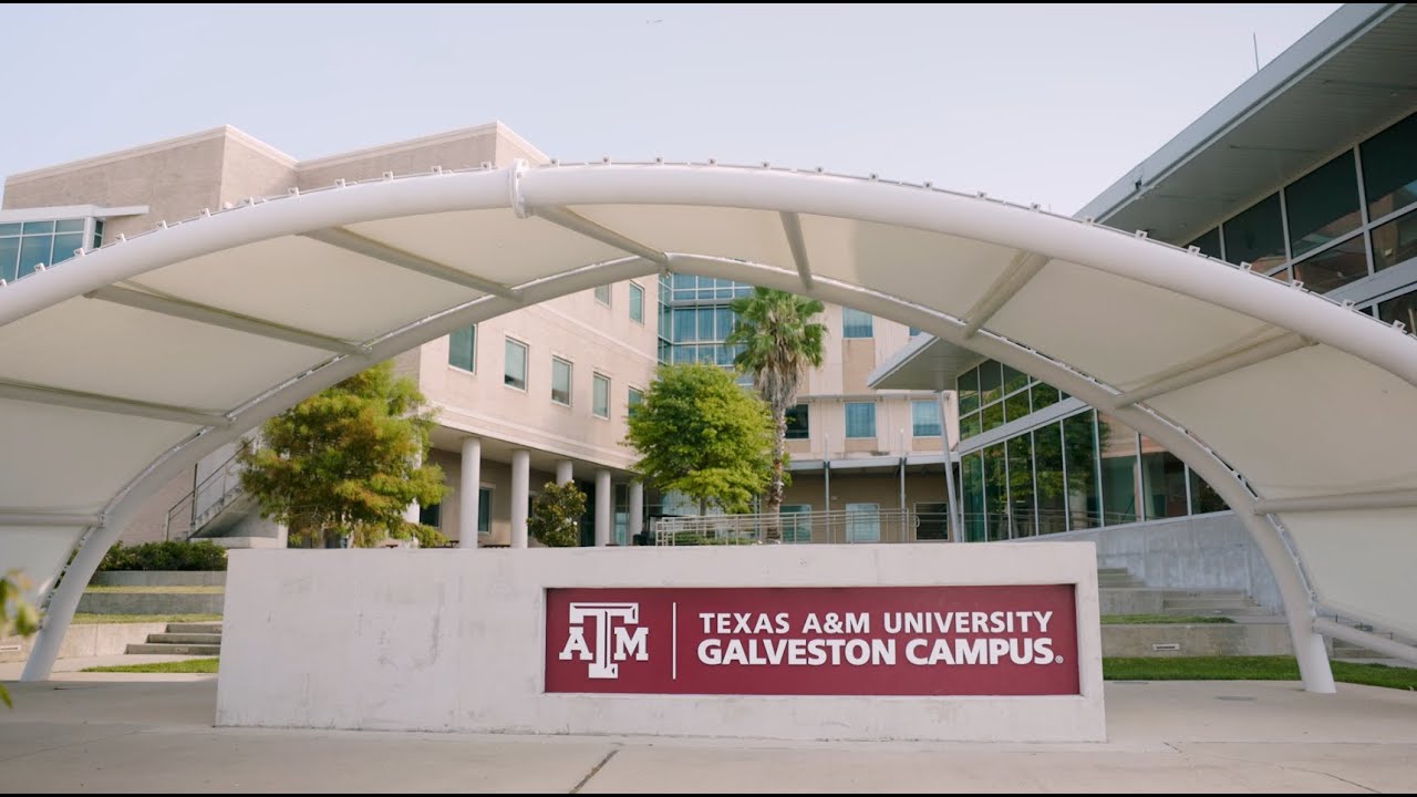 Texas A&M University at Galveston | Aggies By The Sea