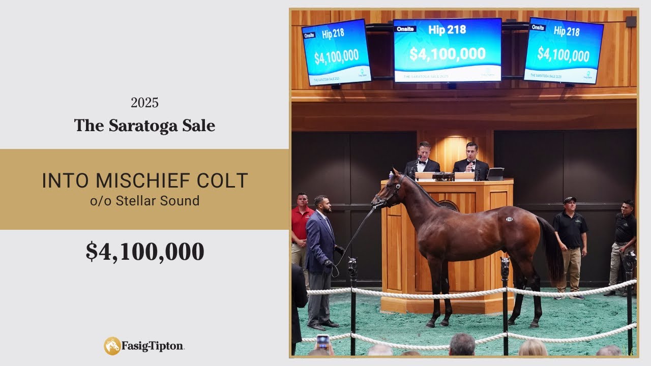 Into Mischief colt sells for $4,100,000 at The Saratoga Sale (2025)