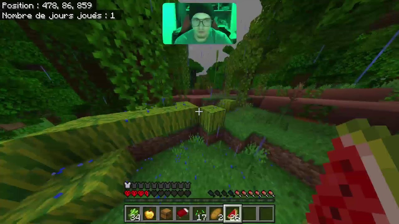 Minecraft hardcore