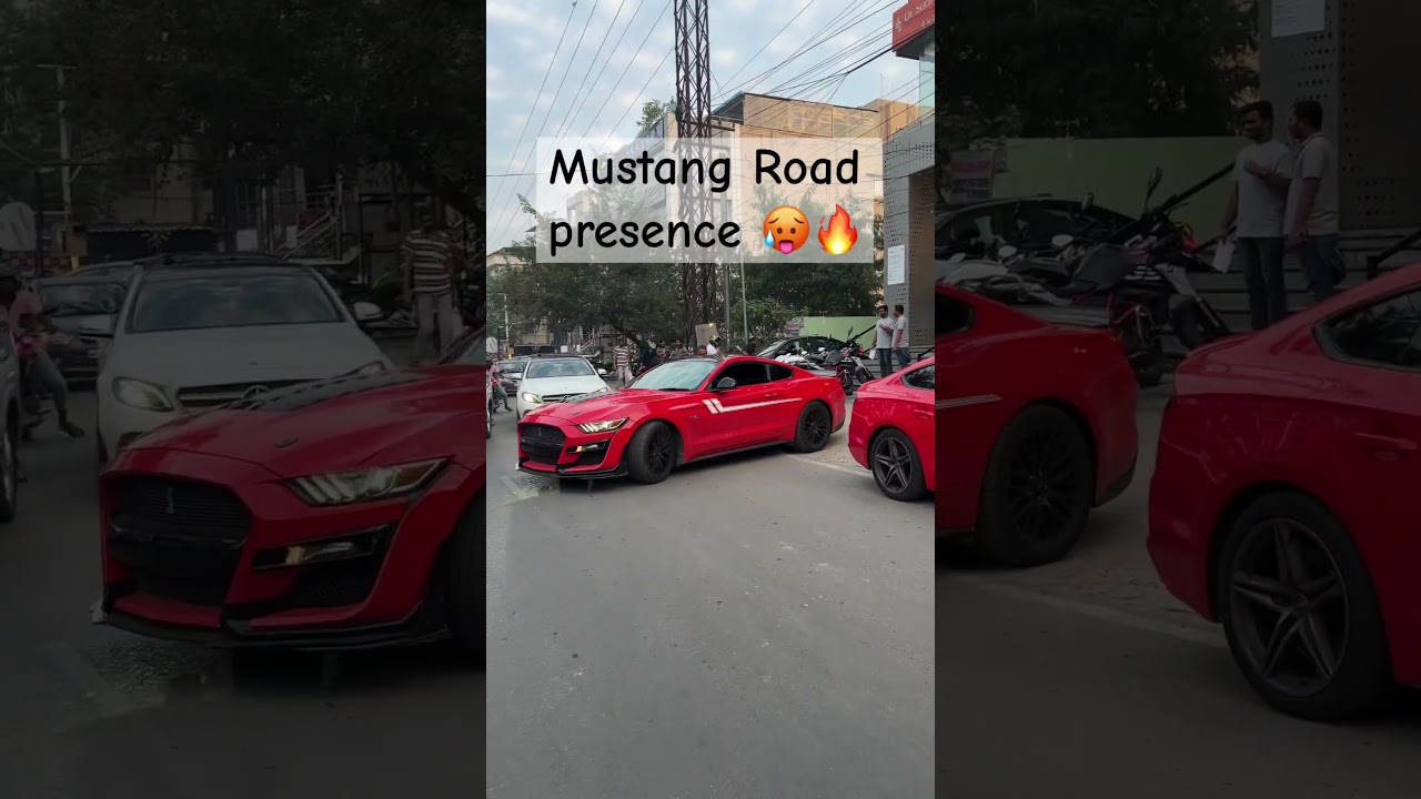 Mustang Road presence | Public reaction 🔥