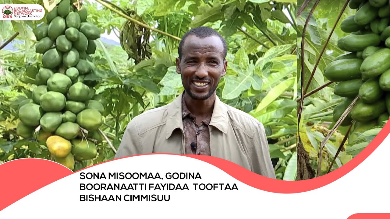 Sona Misoomaa,  Godina Booranaa Aanaafi Magaalaa Yaa'abal'oo keessatti Tooftaa bishaan cimmisuu...