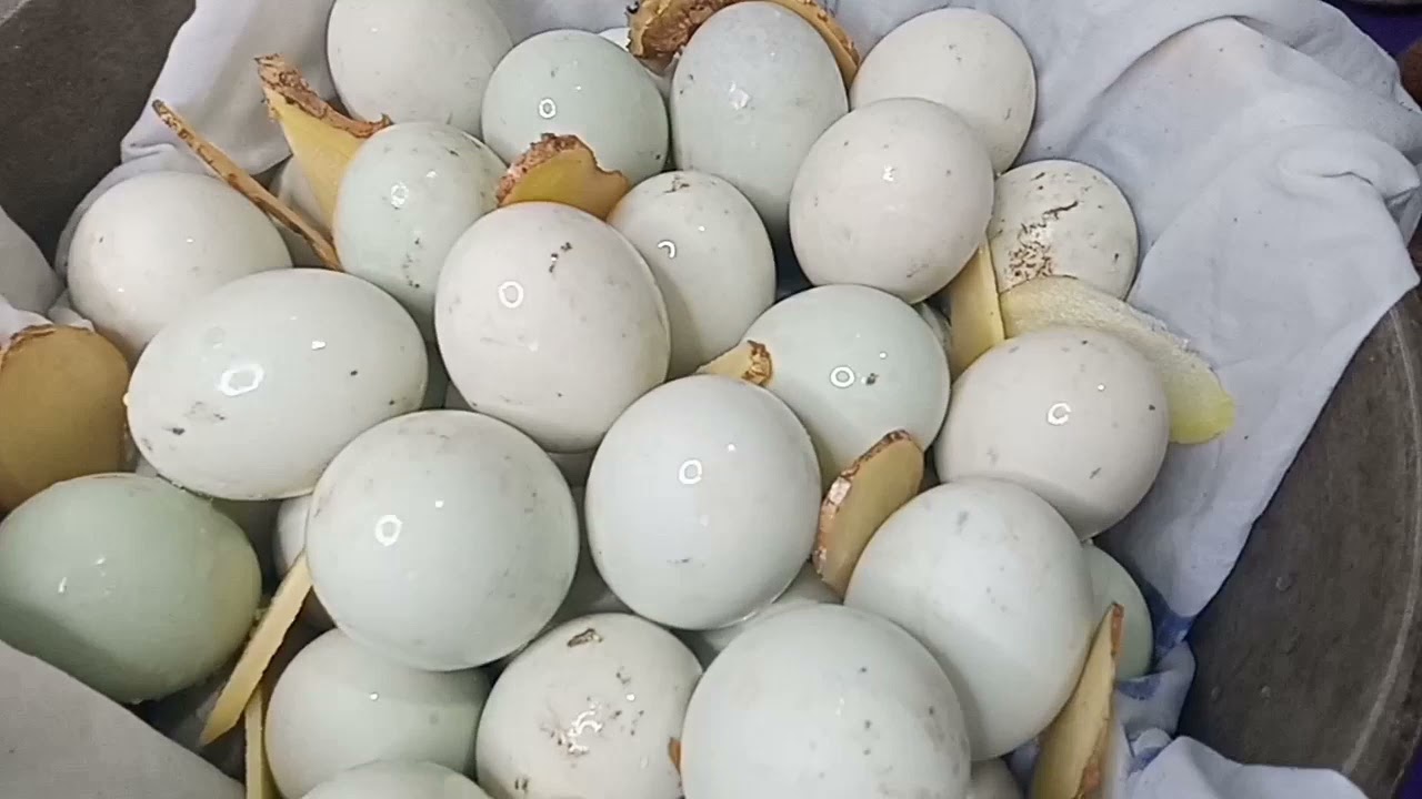 PAANO MAGLUTO NG BALOT - NEGOSYO IDEA