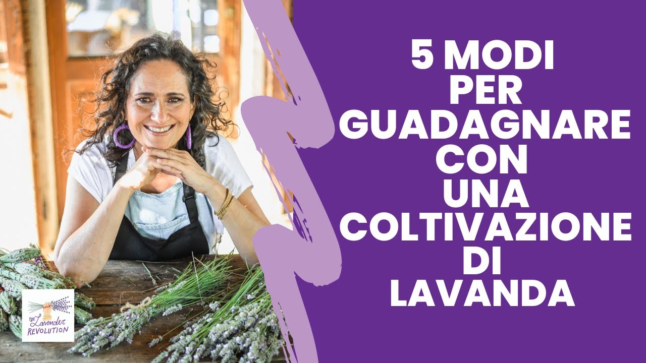 5 modi per guadagnare con una coltivazione di lavanda