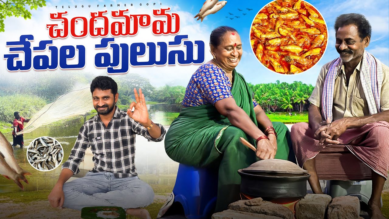 చందమామ చేపలపులుసు || Small Fish Curry || Village Style Fish Curry || @Telugu Farmer Gopi