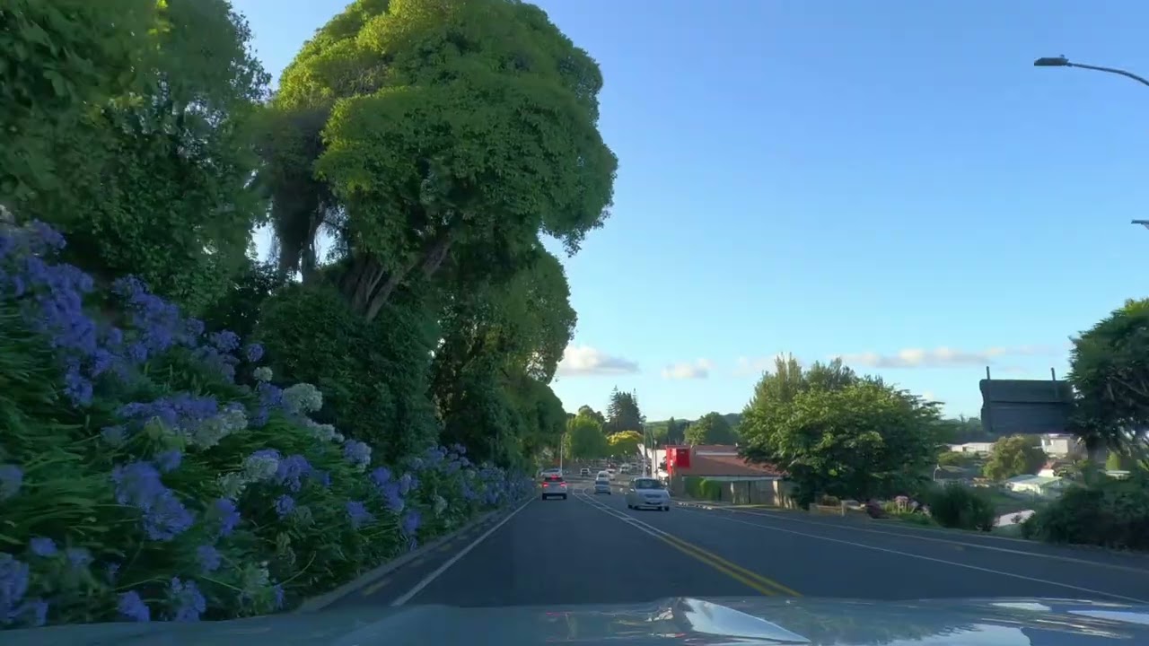 Driving Through Tirau 🇳🇿 Small Town Charm
