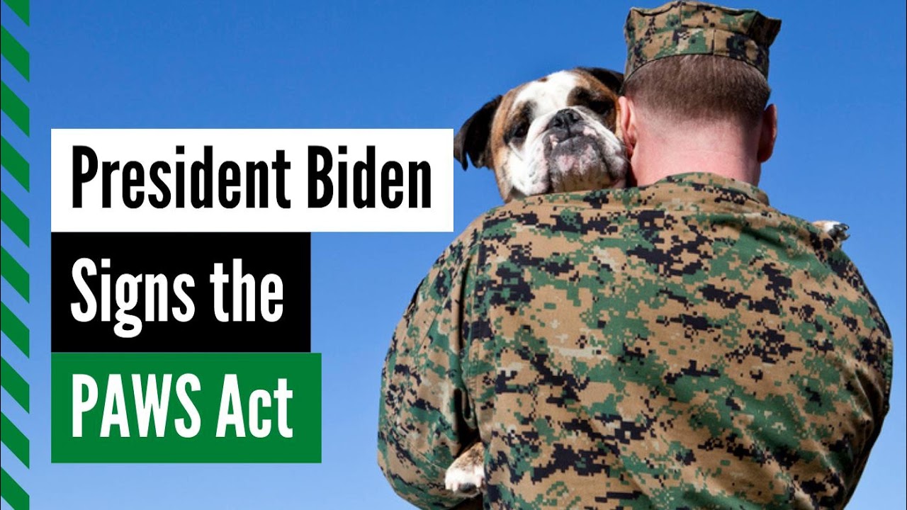 President Biden signed the PAWS Act