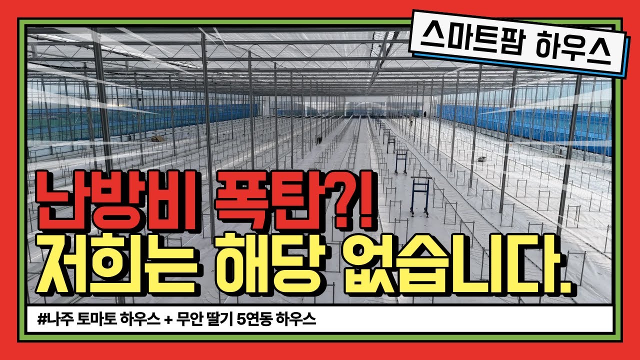 난방비 80% 절감? 나주 토마토·무안 딸기 하우스가 선택한 무풍대류 난방기