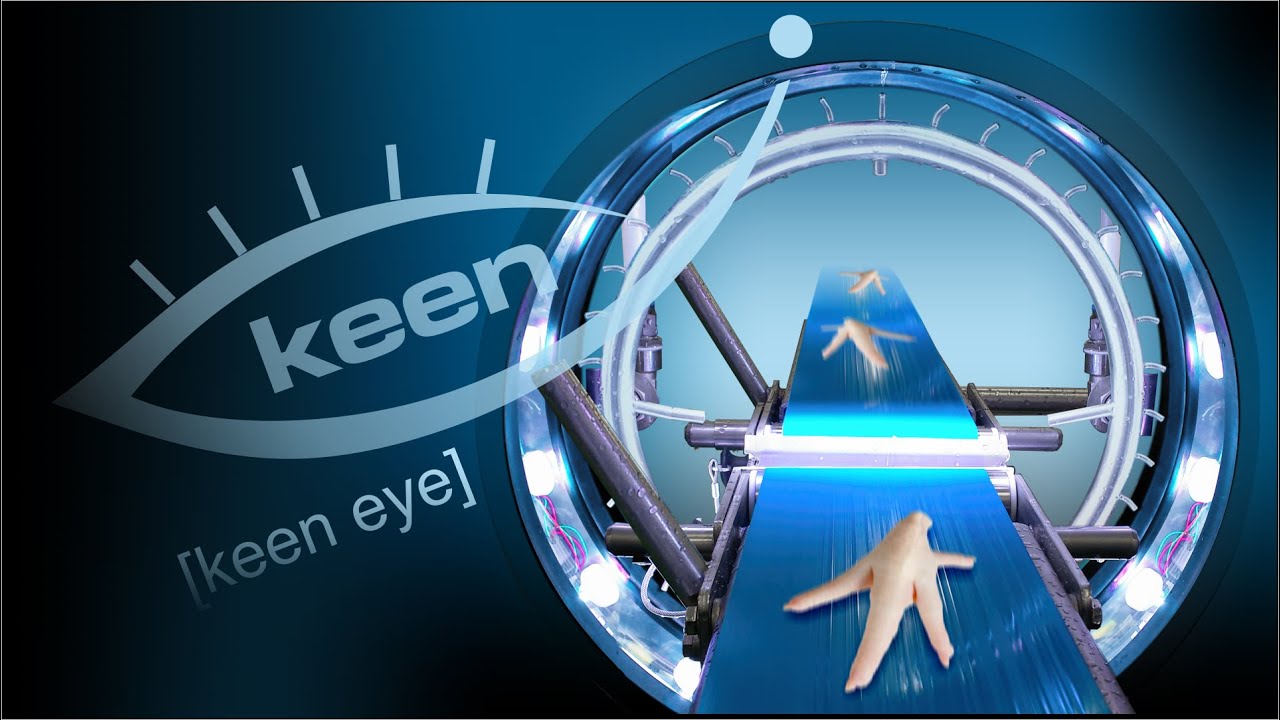 InLine keen eye, in production, paw sorting