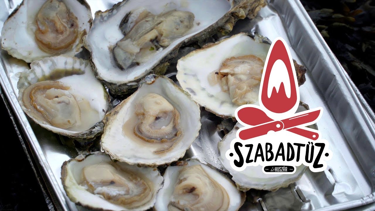 Szabadtűz speciál Hollandiából a tengerpartról, grillezett osztrigával