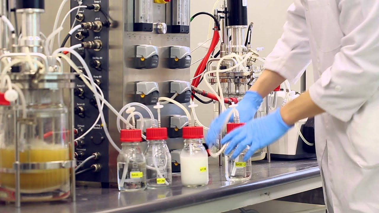 Conversion of Food Waste into Polylactic acid Fibre