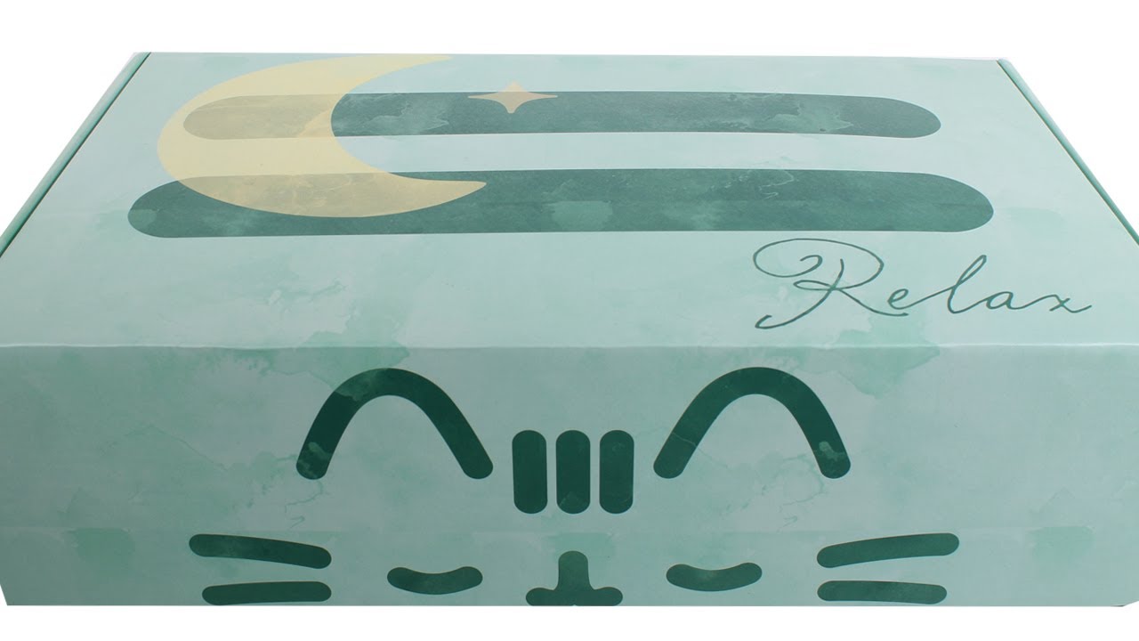 Pusheen Box Spring 2021 Rainy Day Pusheen Subscription Box Unboxing Review