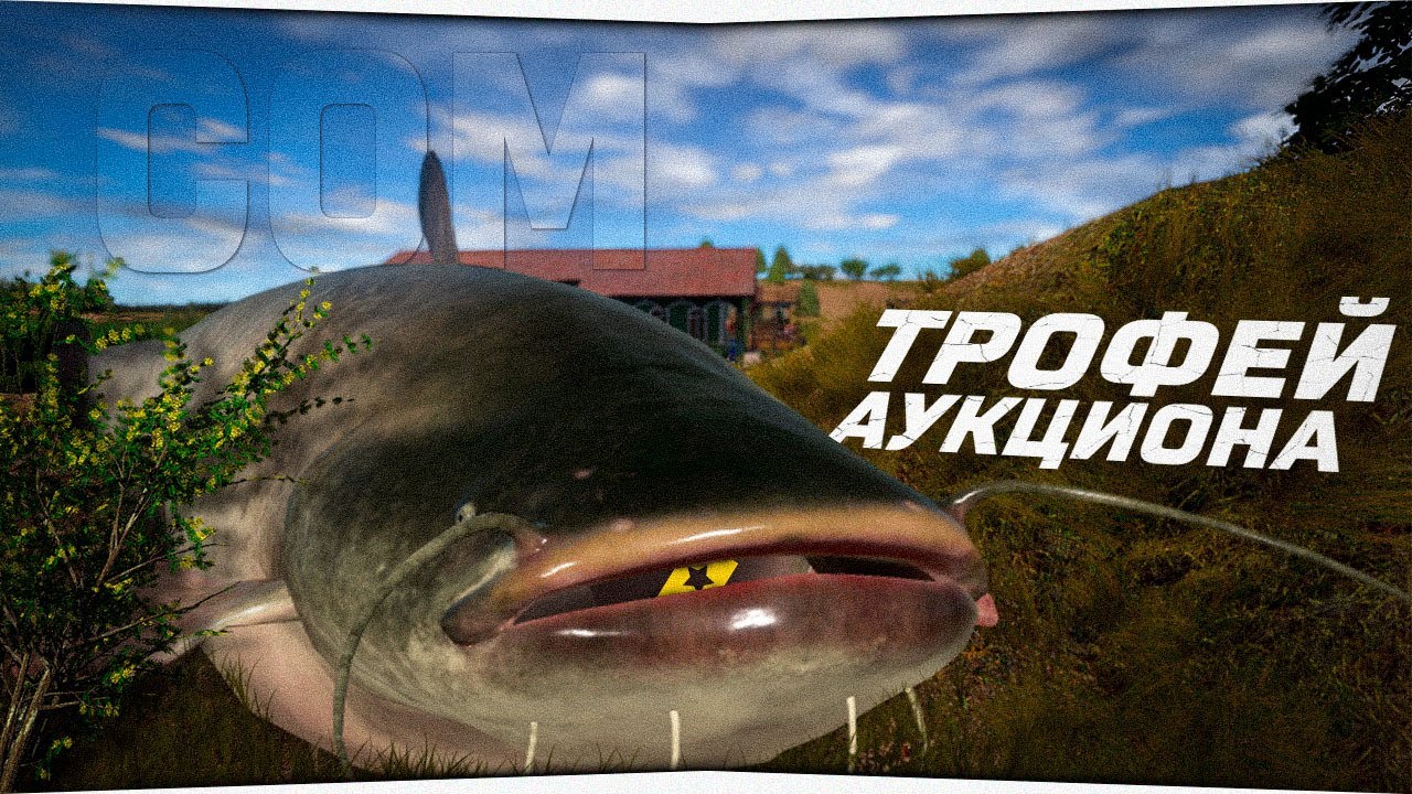 Ловля СОМА на реке Ахтуба • Трофей аукциона • Русская Рыбалка 4
