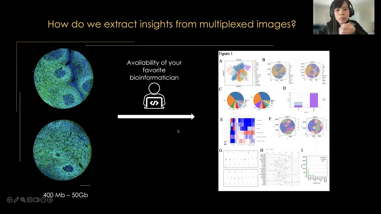 SPACEc: A Streamlined, Interactive Python Workflow for Multiplexed Image Processing and Analysis