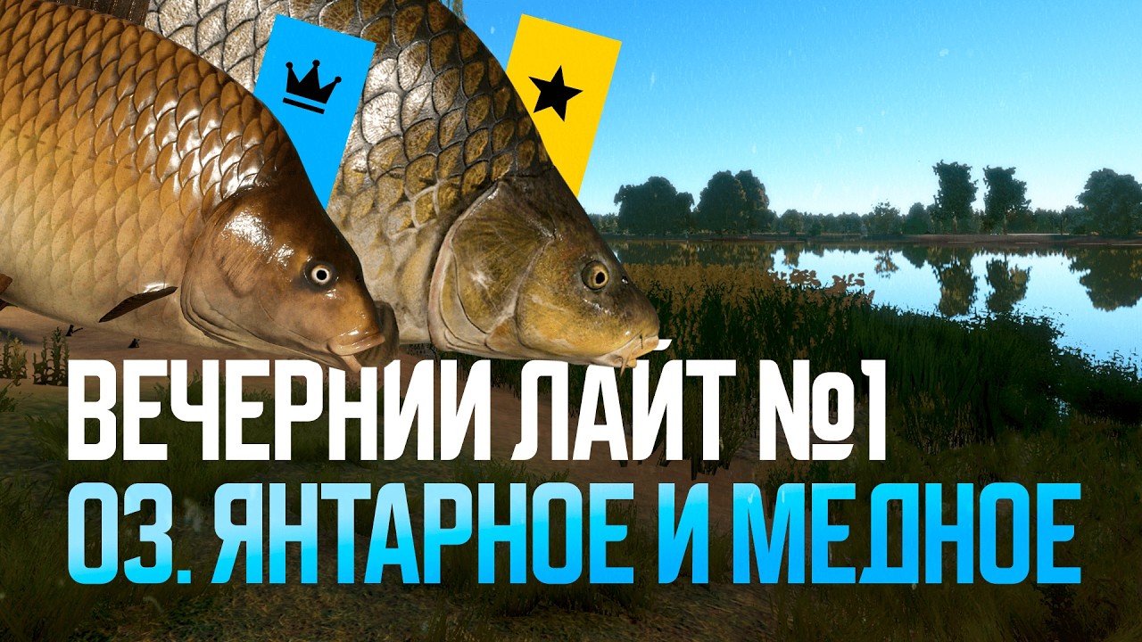 Янтарное (Вечерний лайт), а после фарм. Осталось 27 000 серебра ● Русская рыбалка 4 ● Перчик РР4