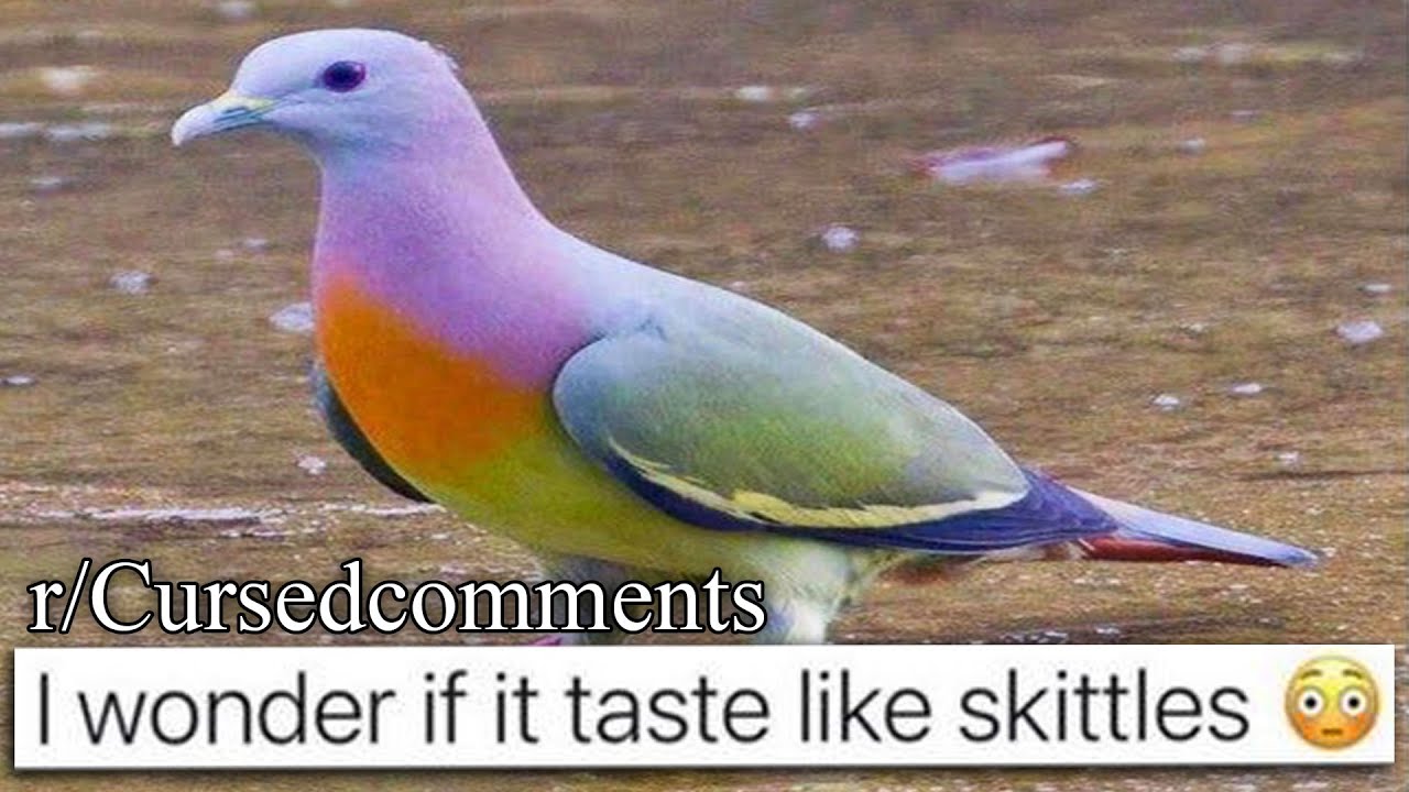 r/Cursedcomments | eat him :)