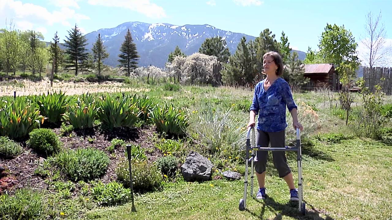 Tai Chi Fundamentals Adapted Program Walker Demo: Short Form