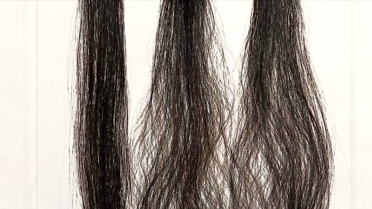 Living Proof No Frizz Demonstrations