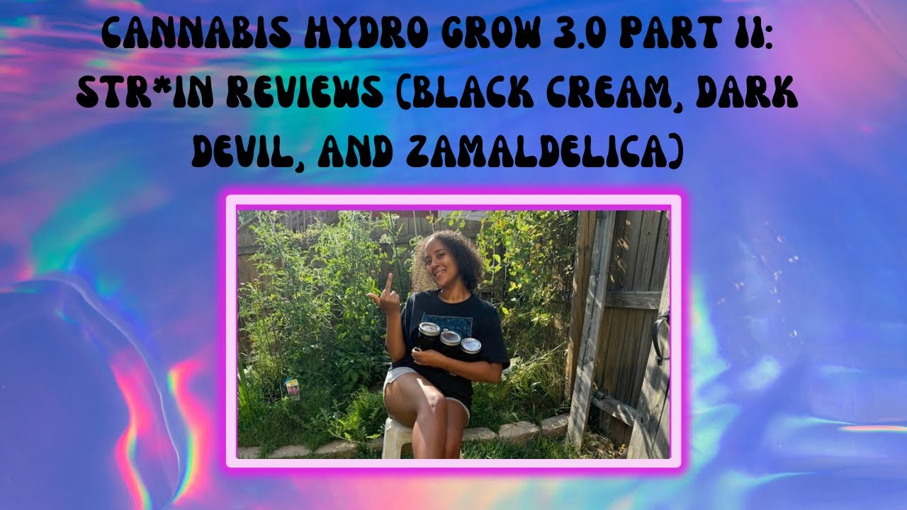 Cannabis Hydro Grow 3.0 Part 11: Strain Review Black Cream, Dark Devil, & Zamaldelica July 12th 2024