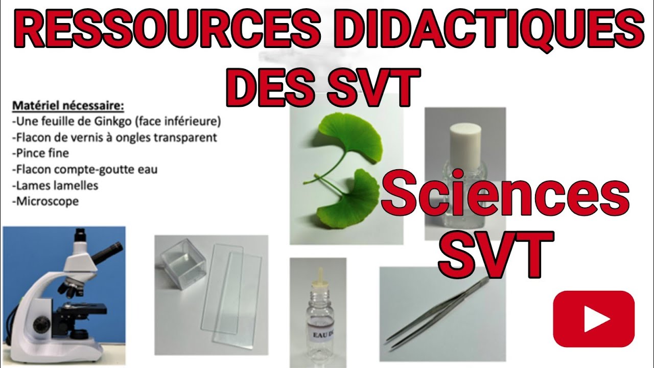 RESSOURCES DIDACTIQUES DES SVT 